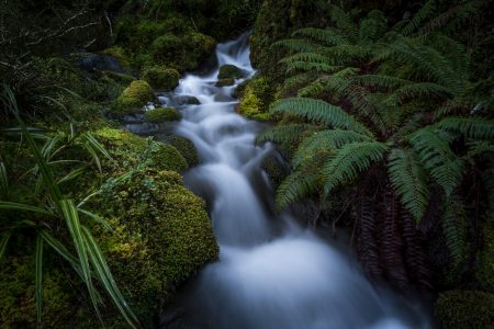 Photo Tours & Shoots Queenstown null